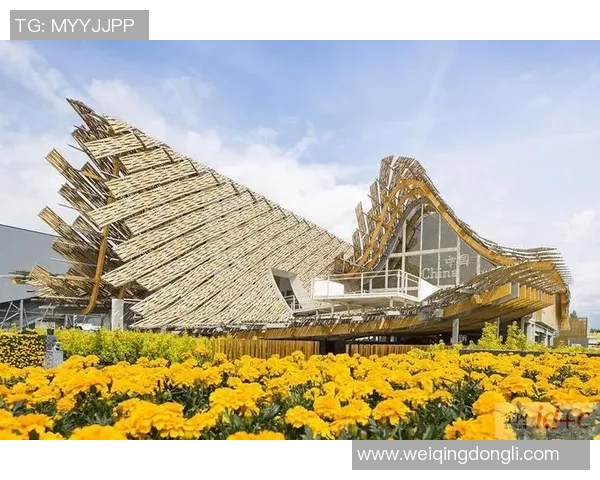 伊萨克的探索之旅：揭示科学与艺术交汇的奥秘与魅力