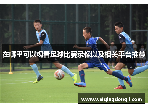 在哪里可以观看足球比赛录像以及相关平台推荐
