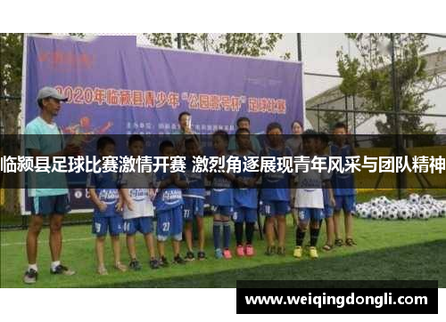 临颍县足球比赛激情开赛 激烈角逐展现青年风采与团队精神