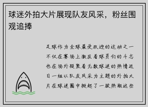 球迷外拍大片展现队友风采，粉丝围观追捧