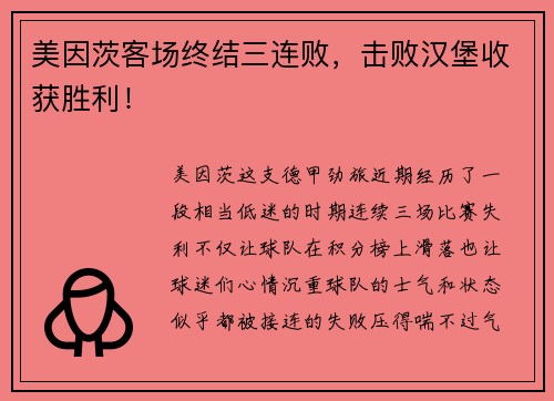 美因茨客场终结三连败，击败汉堡收获胜利！